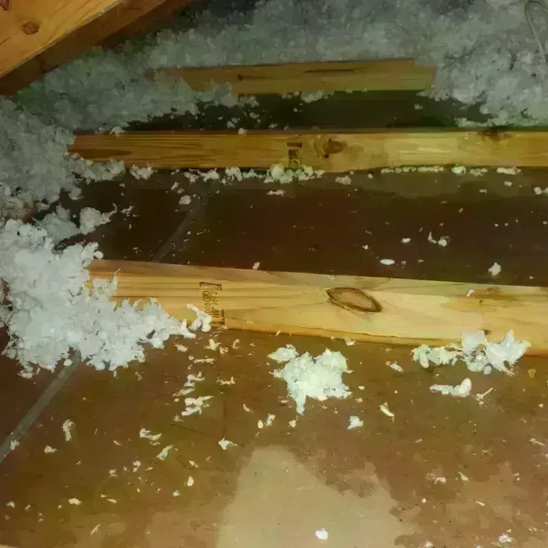 Attic Water Damage in Elkins, AR