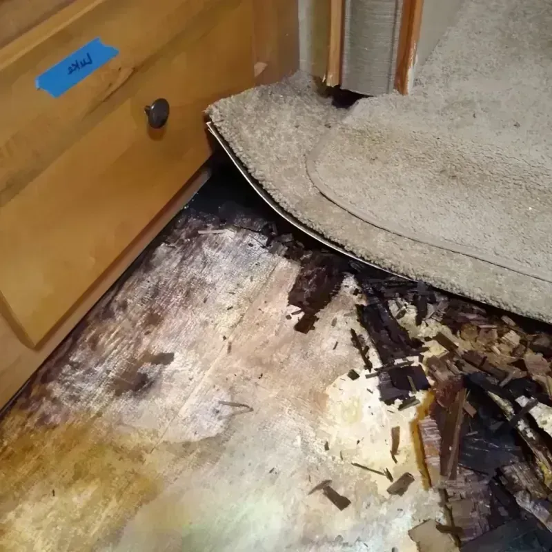 Wood Floor Water Damage in Elkins, AR